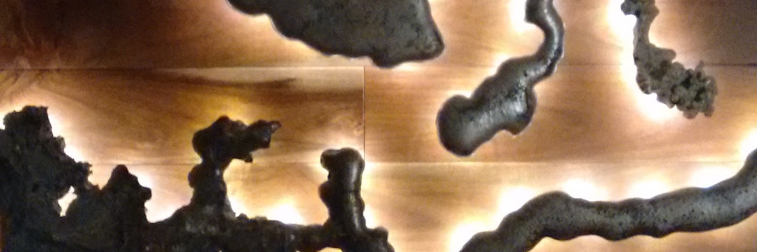 FireForest Banner Photo Number One