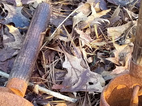 Plauge Bells Banner Photo Number Two